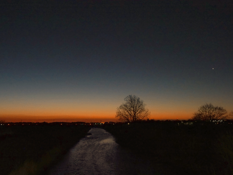 d0290240_10125086.gif