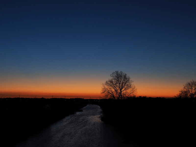d0290240_10132770.gif