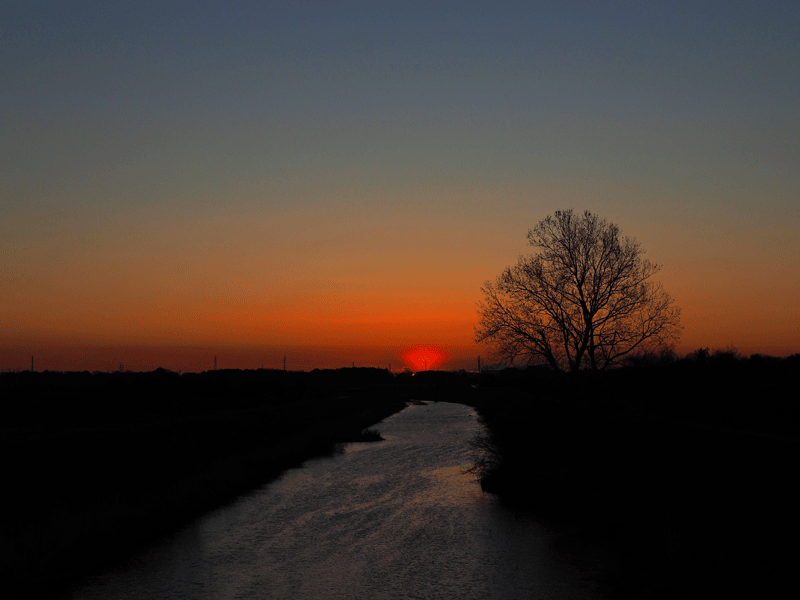 d0290240_10134052.gif