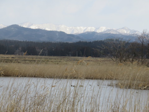 b0238249_18595085.jpg