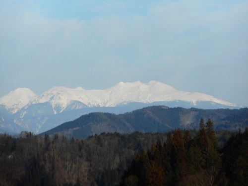 2月は忙しかった・・・_f0197754_00035456.jpg