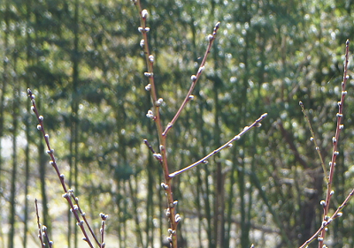 d0179679_12282550.png
