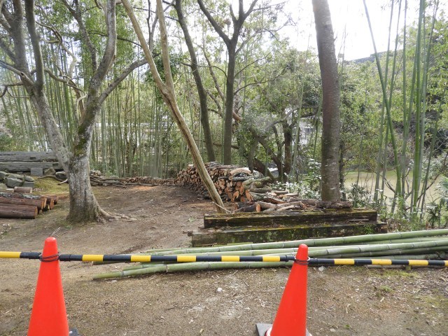 f0378979_15420057.jpg