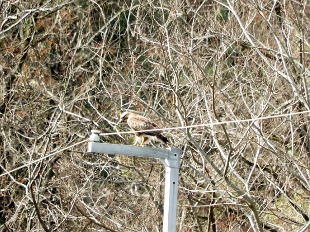 f0378979_15564173.jpg