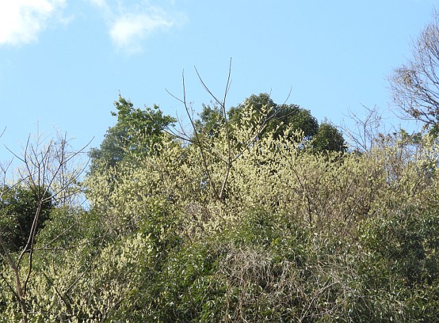 f0378979_16123687.jpg