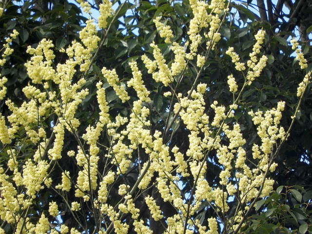 f0378979_16125743.jpg