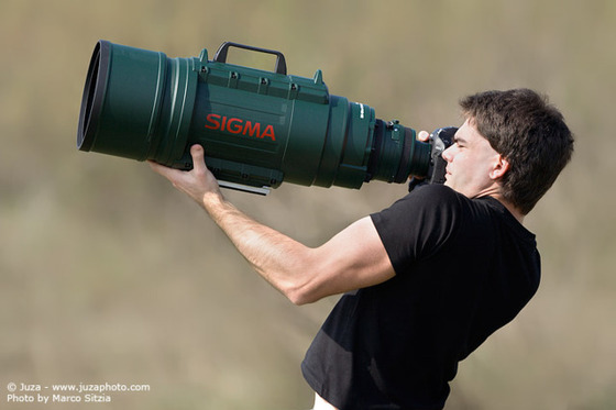 超望遠1200mm対応！ 「M.ZUIKO DIGITAL ED 150-600mm F5.0-6.3 IS」なら“もっと大きく撮りたい”がかなう -  価格.comマガジン