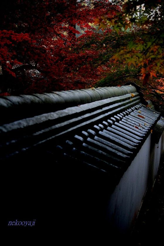 <span itemprop=\"headline\">岩国・お寺と神社</span>_f0295481_19342408.jpeg