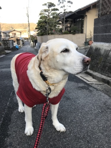 f0315081_22332670.jpeg