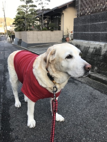 f0315081_22335664.jpeg