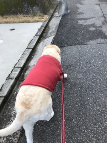 f0315081_22341875.jpeg