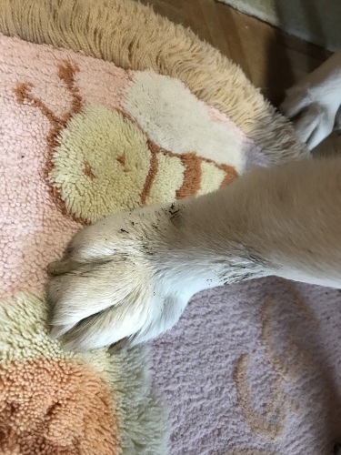 f0315081_22391853.jpeg