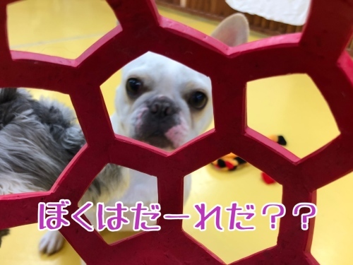 トレーニングブログ_f0357682_19492134.jpeg