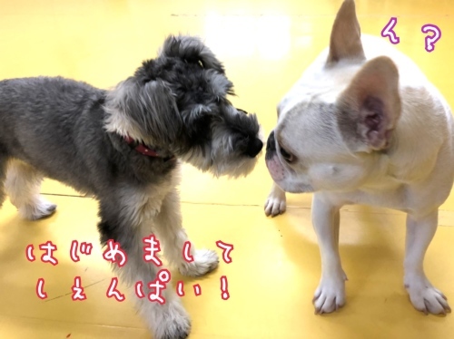 トレーニングブログ_f0357682_19552433.jpeg