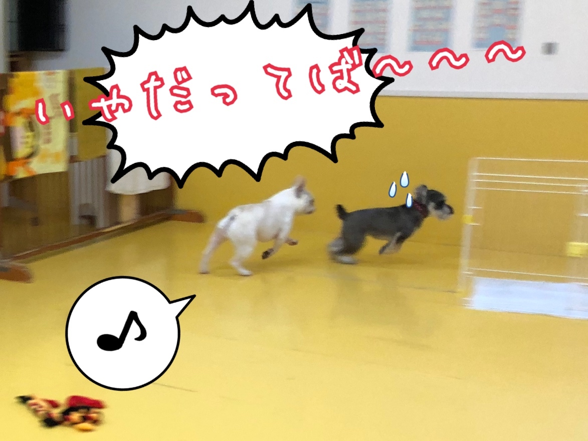 トレーニングブログ_f0357682_19555643.jpeg
