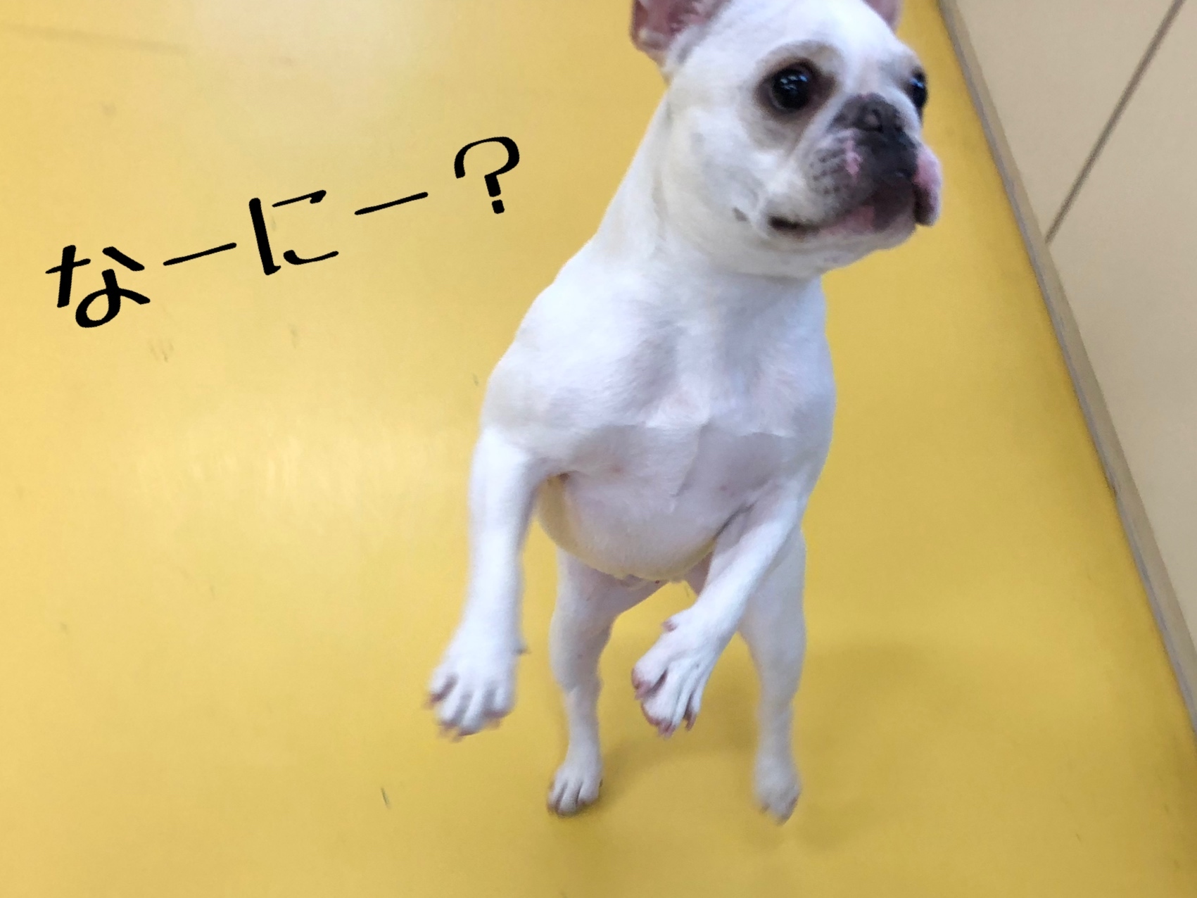 トレーニングブログ_f0357682_19560993.jpeg