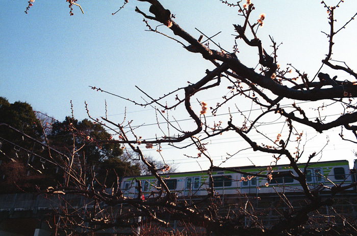 c0386291_21560864.jpg