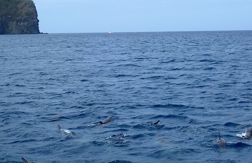 a0158702_09002040.jpg