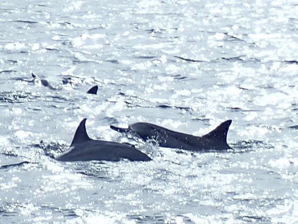 a0158702_09014670.jpg