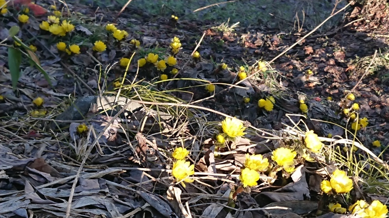 c0320302_17091315.jpg