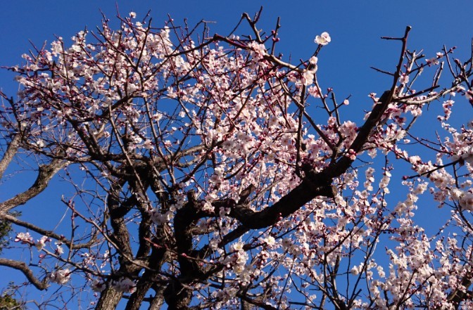b0172805_23565799.jpg