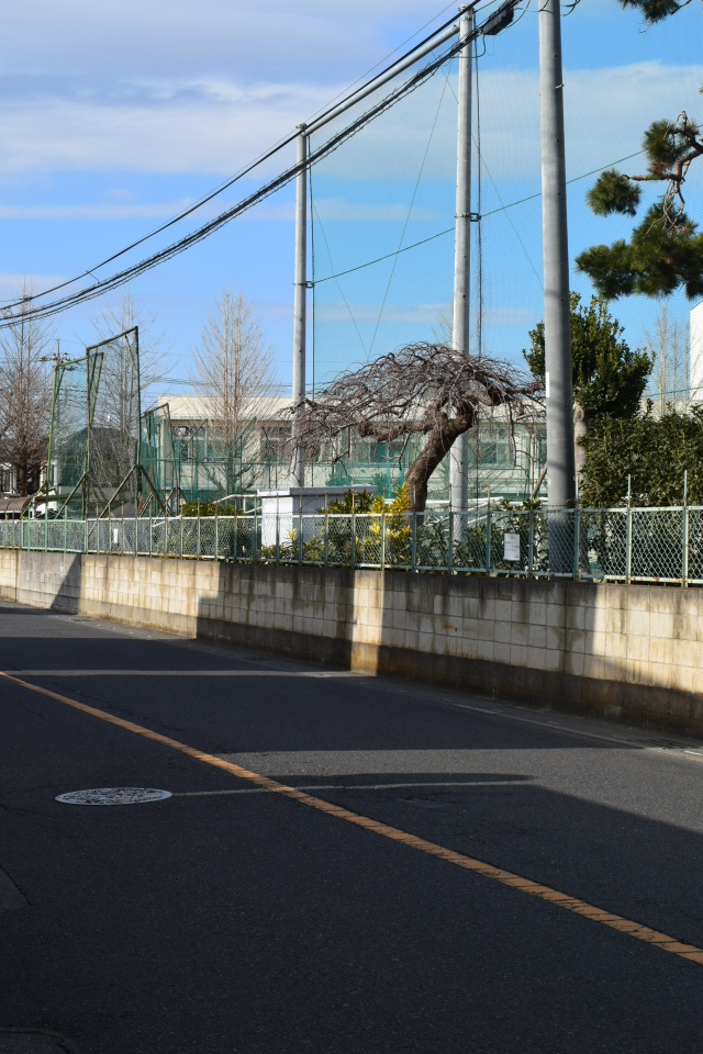 埼玉県立上尾高等学校(建築家・関根要太郎作品研究)_f0142606_09335701.jpg