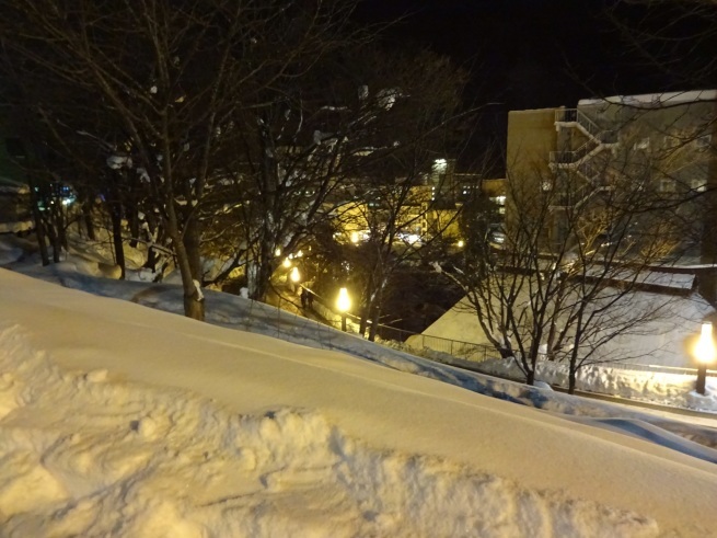 d0200811_20154219.jpeg