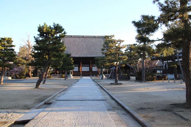 桜がスタートした　知恩寺_e0048413_19543436.jpg