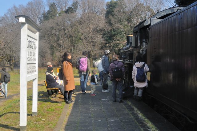 小金井公園と江戸江戸東京たてもの園　その１_c0047919_18350593.jpg