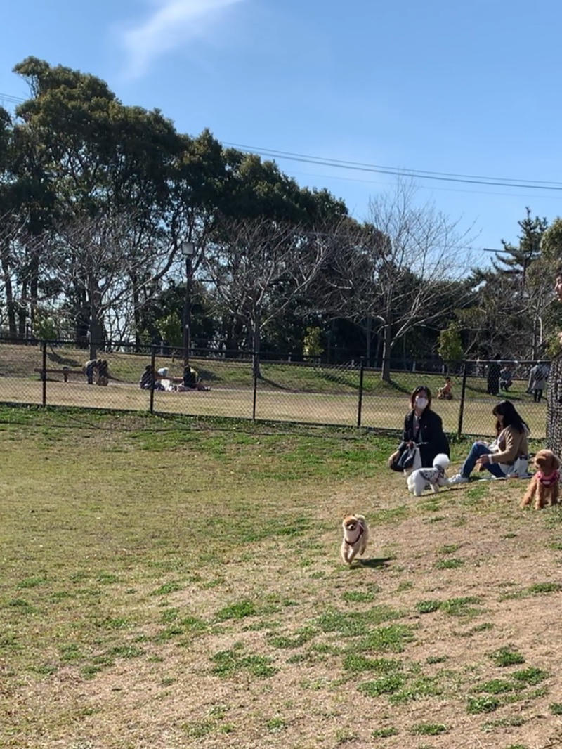 Sky 垂水健康公園ドッグラン Soranko Sky 垂水健康公園ドッグラン Soranko