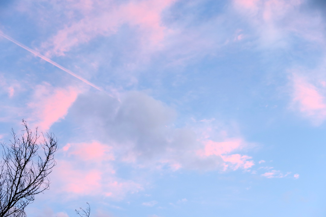 桜色の空に飛行機 二日月_f0234936_752078.jpg