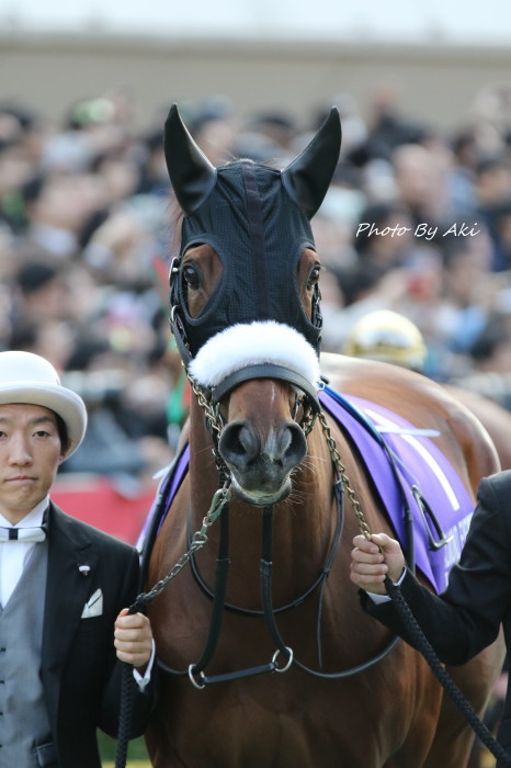 ALMOND EYE_f0324540_21480231.jpg