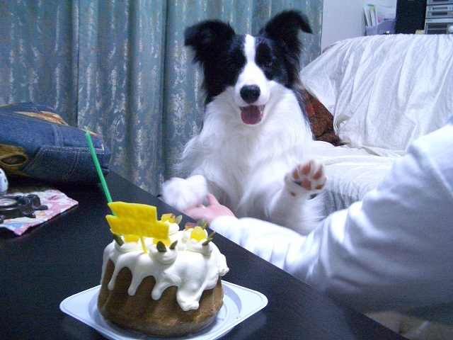 c0147241_18222761.jpg