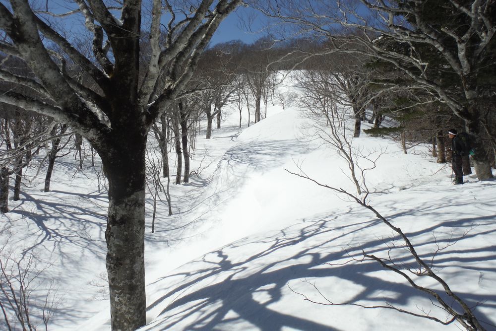c0294658_23081169.jpg
