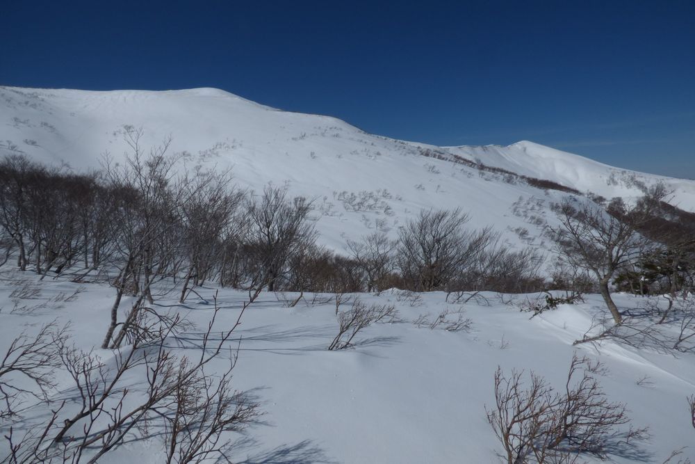 c0294658_23214548.jpg