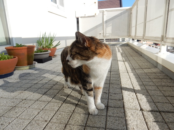 ’19,3,9(土)今日はありがとう!の日です!_f0060461_10224120.jpg