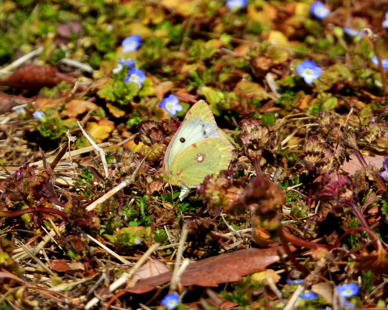 c0305565_17385709.jpg