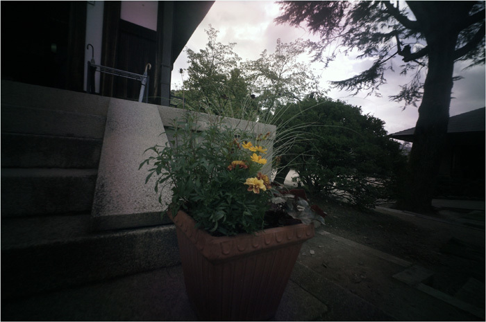 c0168172_22010444.jpg
