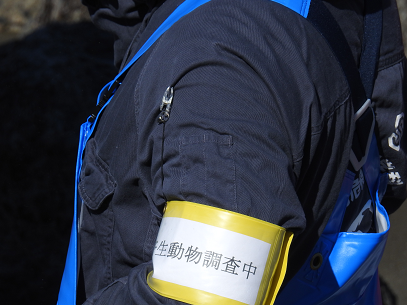 d0106575_13225249.png