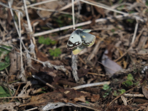 f0348480_17542135.jpg