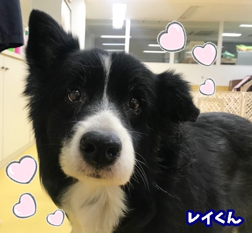 イケメン達♥♥_f0357682_18103315.jpg