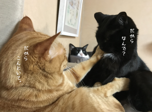 a0216583_23265334.png