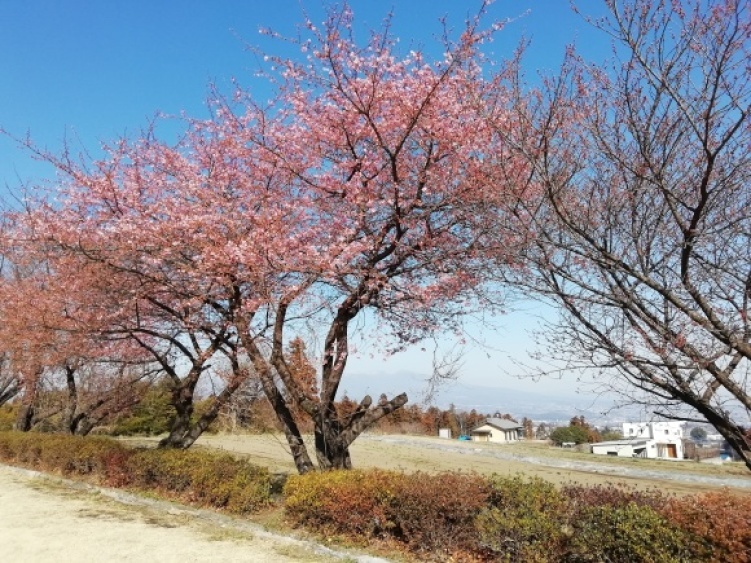 c0212083_16343879.jpg