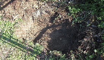 f0003283_09411326.jpg