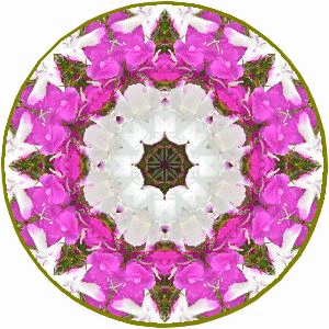f0357487_22532896.gif
