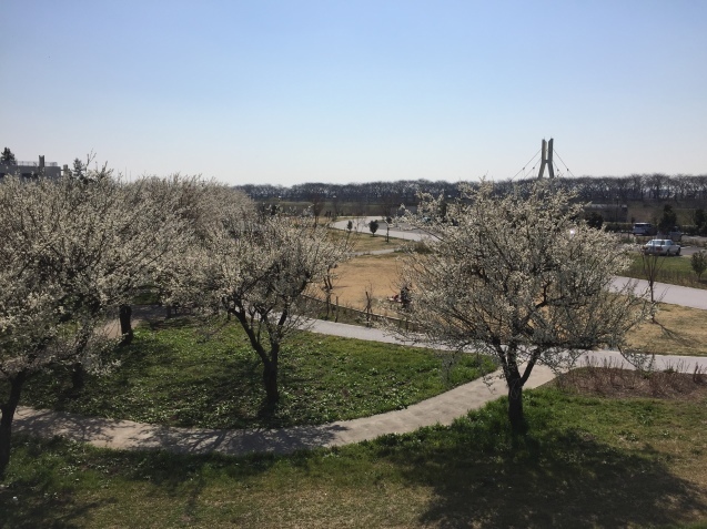 e0152990_18162228.jpeg