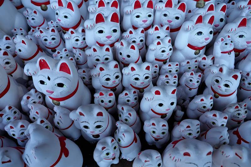 招き猫のお寺・豪徳寺_e0348392_20081438.jpg