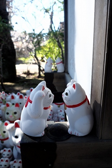 招き猫のお寺・豪徳寺_e0348392_20082901.jpg