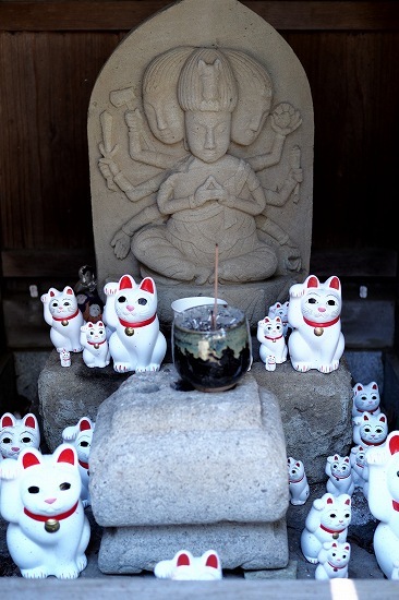 招き猫のお寺・豪徳寺_e0348392_20093317.jpg