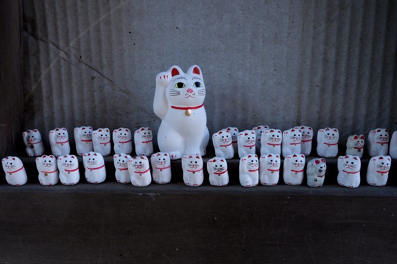 招き猫のお寺・豪徳寺_e0348392_20100938.jpg